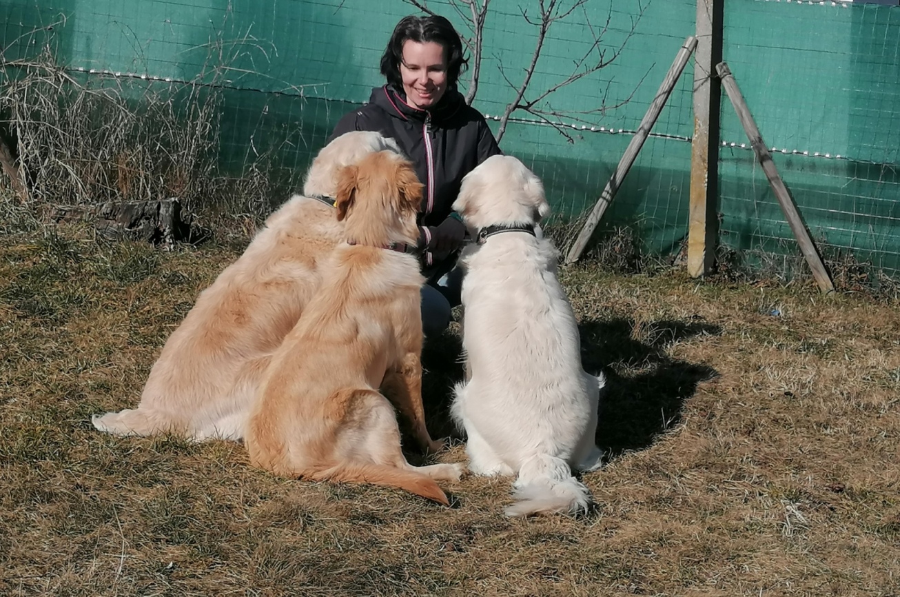 kutyaképzés Pécsen családiasan