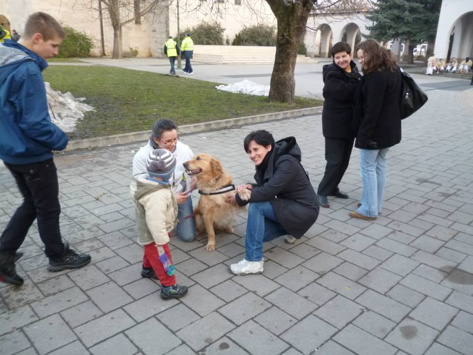 Mazsi - családi kutyasuli - Pécs